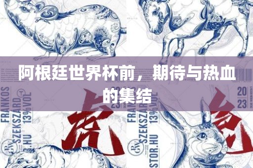 阿根廷世界杯前，期待与热血的集结