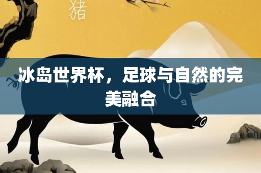 冰岛世界杯，足球与自然的完美融合