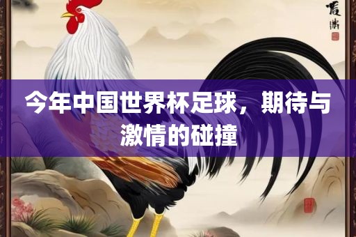 今年中国世界杯足球，期待与激情的碰撞
