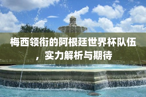 梅西领衔的阿根廷世界杯队伍，实力解析与期待
