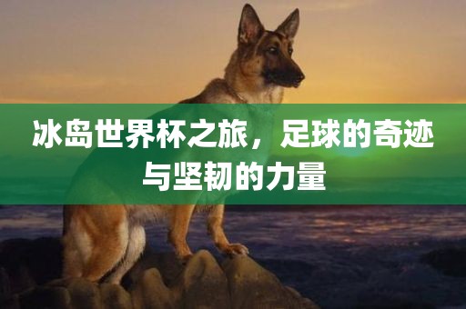 冰岛世界杯之旅，足球的奇迹与坚韧的力量