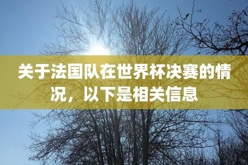 关于法国队在世界杯决赛的情况，以下是相关信息