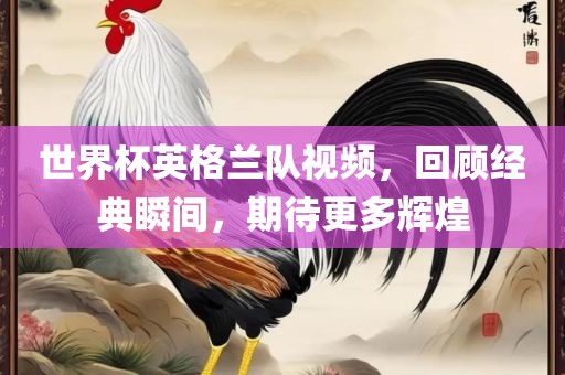 世界杯英格兰队视频，回顾经典瞬间，期待更多辉煌