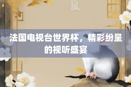 法国电视台世界杯，精彩纷呈的视听盛宴