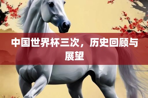 中国世界杯三次，历史回顾与展望