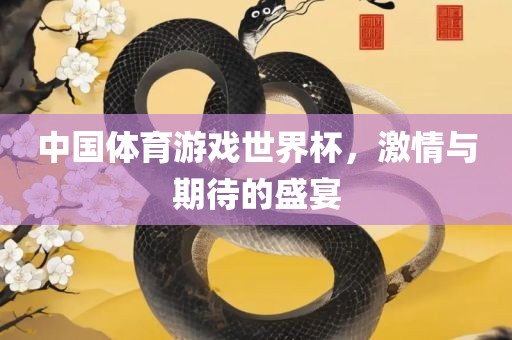中国体育游戏世界杯，激情与期待的盛宴