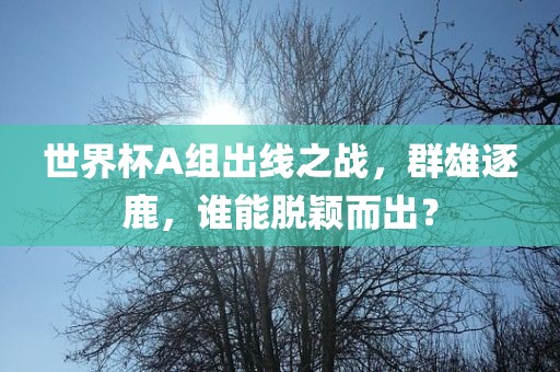 世界杯A组出线之战，群雄逐鹿，谁能脱颖而出？