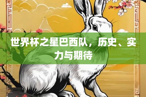 世界杯之星巴西队，历史、实力与期待