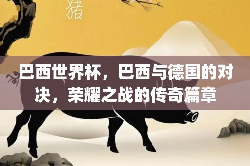 巴西世界杯，巴西与德国的对决，荣耀之战的传奇篇章