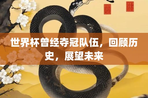 世界杯曾经夺冠队伍，回顾历史，展望未来