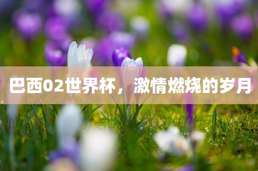巴西02世界杯，激情燃烧的岁月