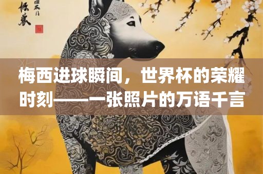 梅西进球瞬间，世界杯的荣耀时刻——一张照片的万语千言