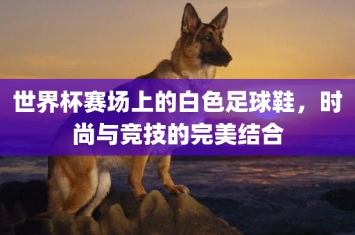 世界杯赛场上的白色足球鞋，时尚与竞技的完美结合