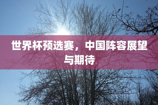 世界杯预选赛，中国阵容展望与期待