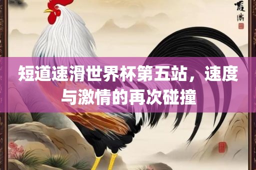 短道速滑世界杯第五站，速度与激情的再次碰撞