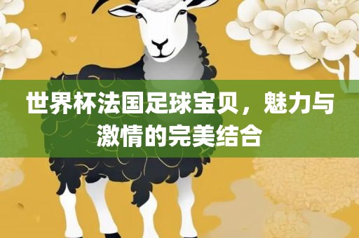 世界杯法国足球宝贝，魅力与激情的完美结合
