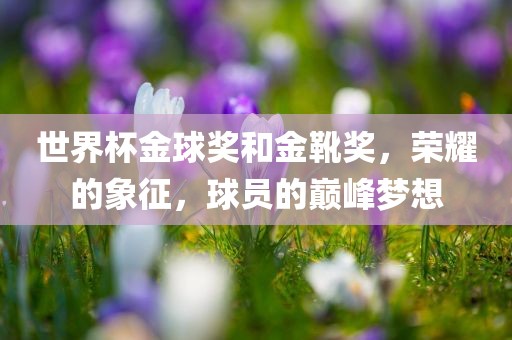 世界杯金球奖和金靴奖，荣耀的象征，球员的巅峰梦想