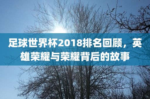 足球世界杯2018排名回顾，英雄荣耀与荣耀背后的故事