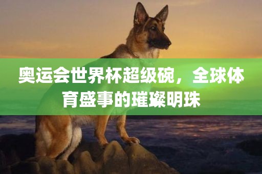 奥运会世界杯超级碗，全球体育盛事的璀璨明珠
