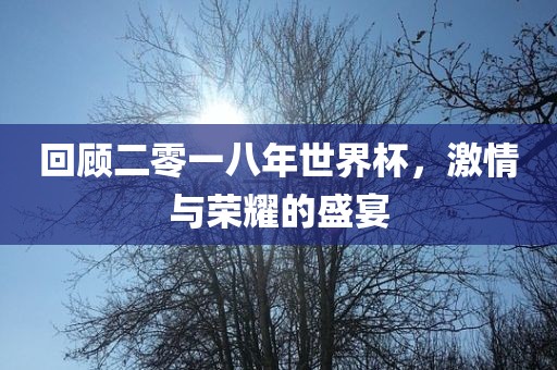 回顾二零一八年世界杯，激情与荣耀的盛宴