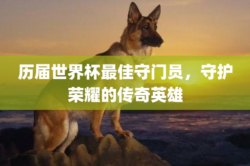 历届世界杯最佳守门员，守护荣耀的传奇英雄