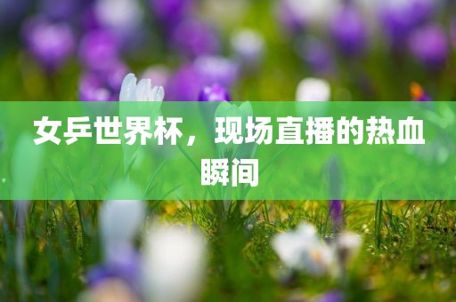 女乒世界杯，现场直播的热血瞬间