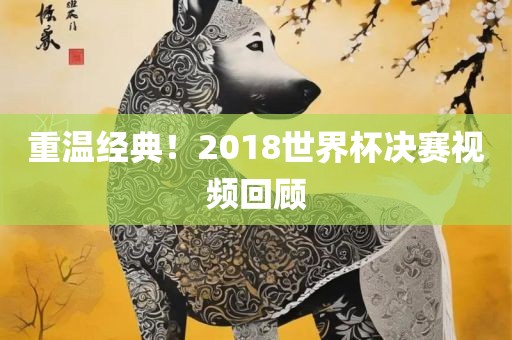 重温经典！2018世界杯决赛视频回顾