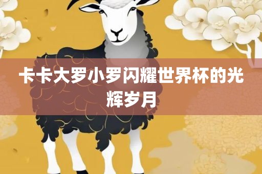 卡卡大罗小罗闪耀世界杯的光辉岁月