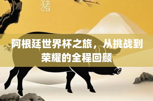 阿根廷世界杯之旅，从挑战到荣耀的全程回顾