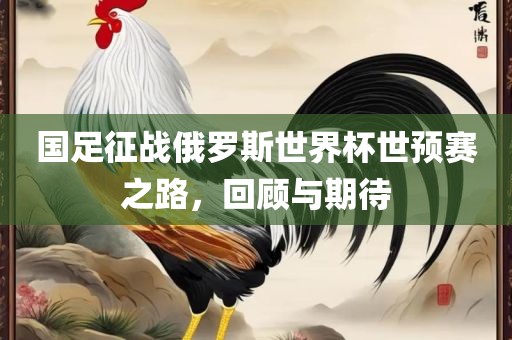 国足征战俄罗斯世界杯世预赛之路，回顾与期待漯河市盈旭机械设备有限公司