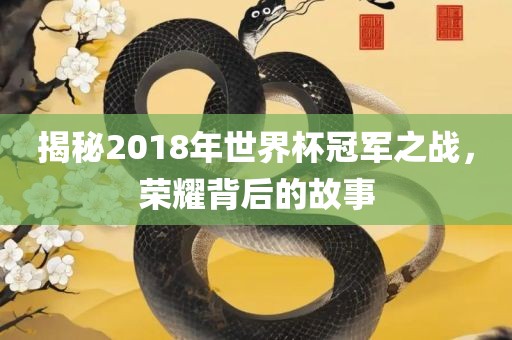 揭秘2018年世界杯冠军之战，荣耀背后的故事漯河市盈旭机械设备有限公司