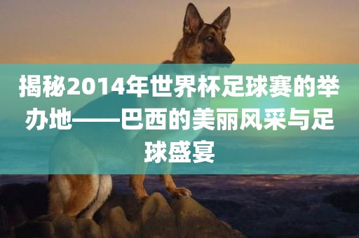 揭秘2014年世界杯足球赛的举办地——巴西的美丽风采与足球盛宴漯河市盈旭机械设备有限公司