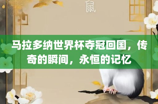 马拉多纳世界杯夺冠回国，传奇的瞬间，永恒的记漯河市盈旭机械设备有限公司忆