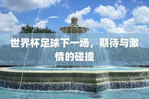 世界杯足球下一场，期待与激情的碰撞