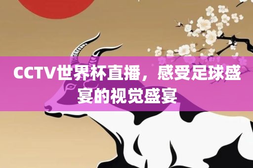 CCTV世界杯直播，感受足球盛宴的视觉盛宴