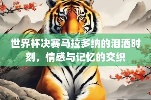 世界杯决赛马拉多纳的泪洒时刻，情感与记忆的交织