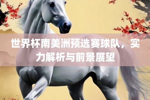 世界杯南美洲预选赛球队，实力解析与前景展望