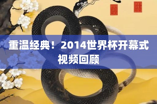 重温经典！2014世界杯开幕式视频回顾
