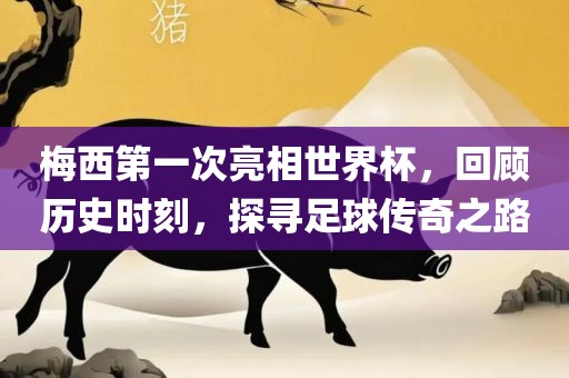 梅西第一次亮相世界杯，回顾历史时刻，探寻足球传奇之路