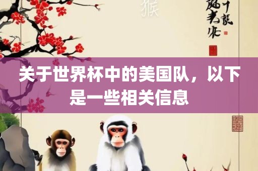 关于世界杯中的美国队，以下是一些相关信息