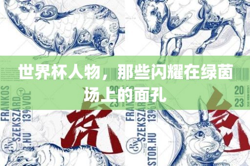 世界杯人物，那些闪耀在绿茵场上的面孔