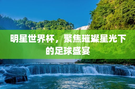 明星世界杯，聚焦璀璨星光下的足球盛宴