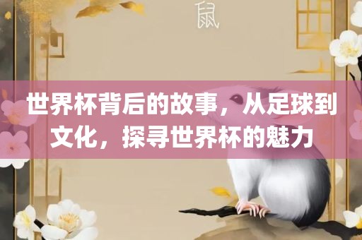 世界杯背后的故事，从足球到文化，探寻世界杯的魅力