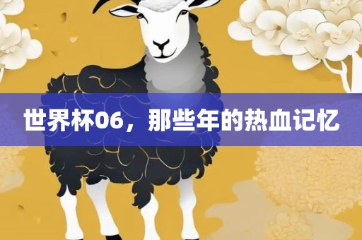 世界杯06，那些年的热血记忆