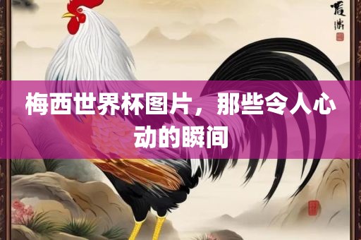 梅西世界杯图片，那些令人心动的瞬间