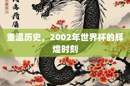 重温历史，2002年世界杯的辉煌时刻