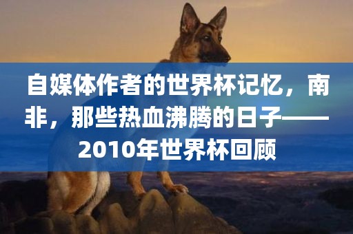 自媒体作者的世界杯记忆，南非，那些热血沸腾的日子——2010年世界杯回顾