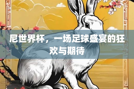 尼世界杯，一场足球盛宴的狂欢与期待