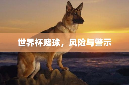 世界杯赌球，风险与警示