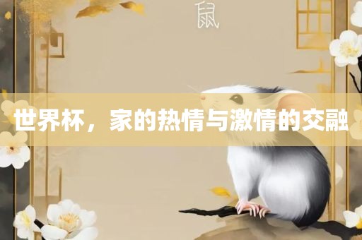 世界杯，家的热情与激情的交融